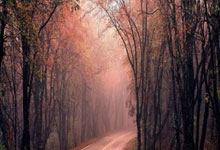 开云-2026太原马年元宵非遗美食旅游攻略