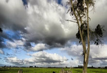 开云地址-巴萨球星圣诞惊喜，Ronin FC球员收获梦想礼物