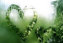 kaiyun-国際(jì)足联：美加墨世界杯冠军将获得5000万美元奖金