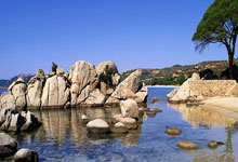 开云官网-国际足联：2026世界杯门票申请已破5亿份