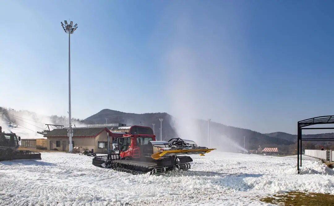 世界杯观赛指南，看懂赛事见证巅峰对决